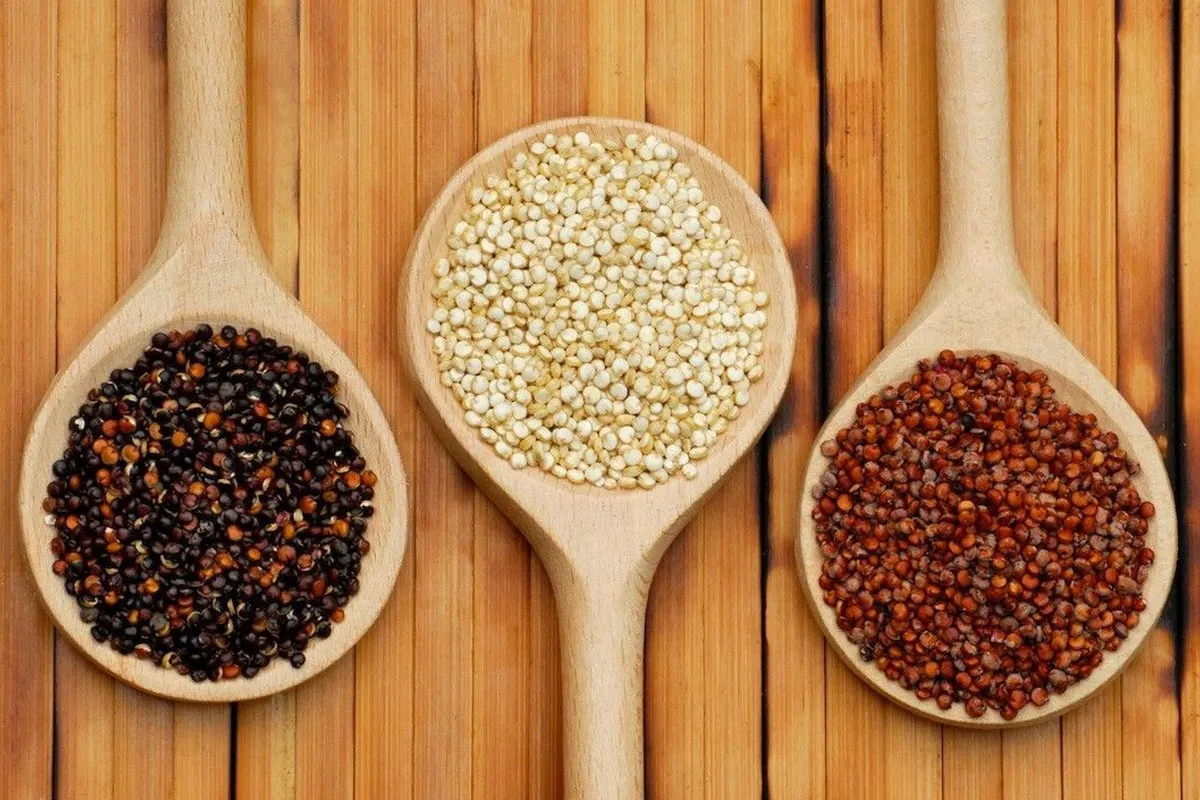 QUINOA: Oro Andino