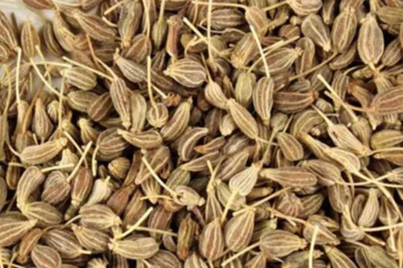 Anís Semilla Entera Anís Semilla Entera