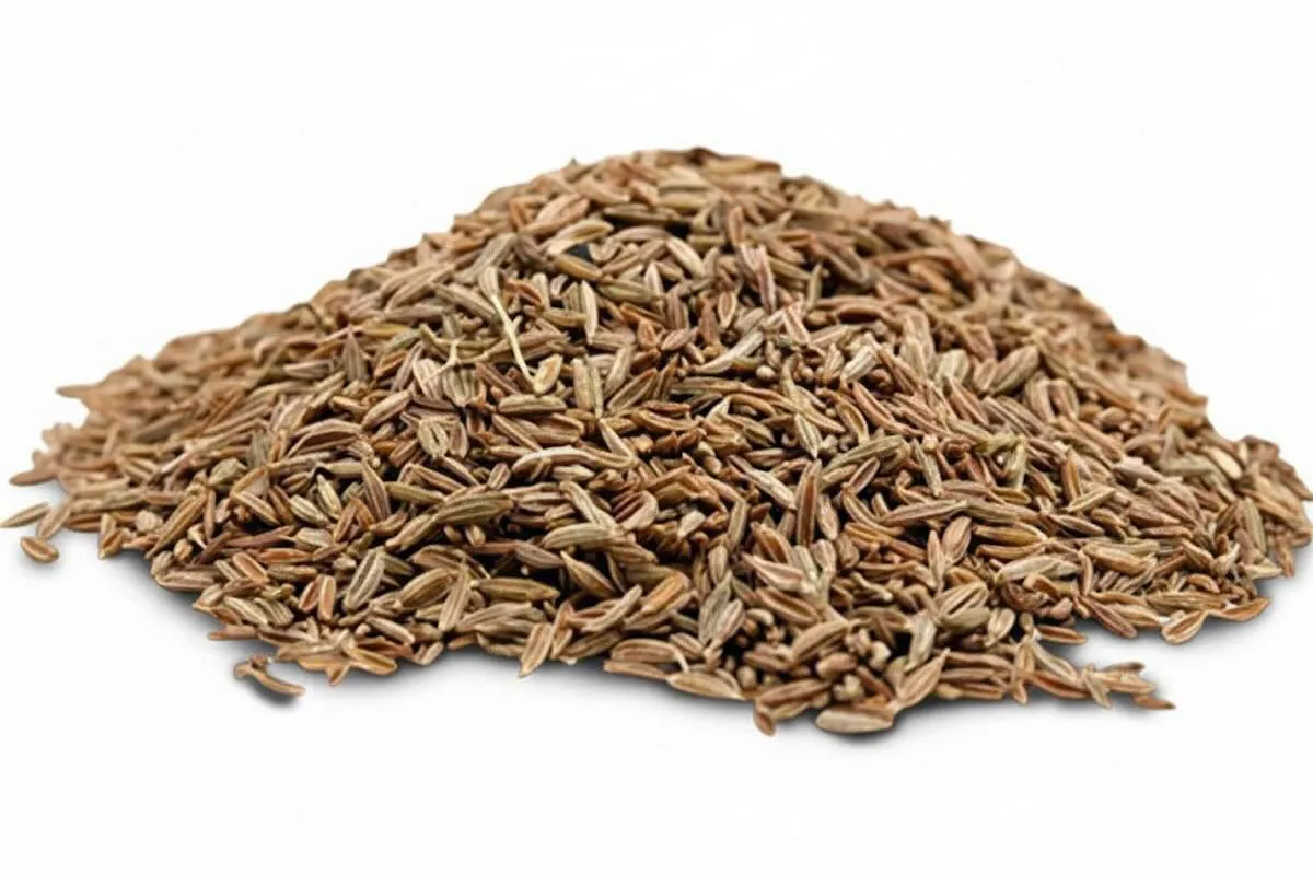 Comino Entero Comino Entero
