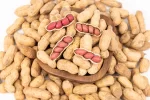 Maní con Cáscara Tostado