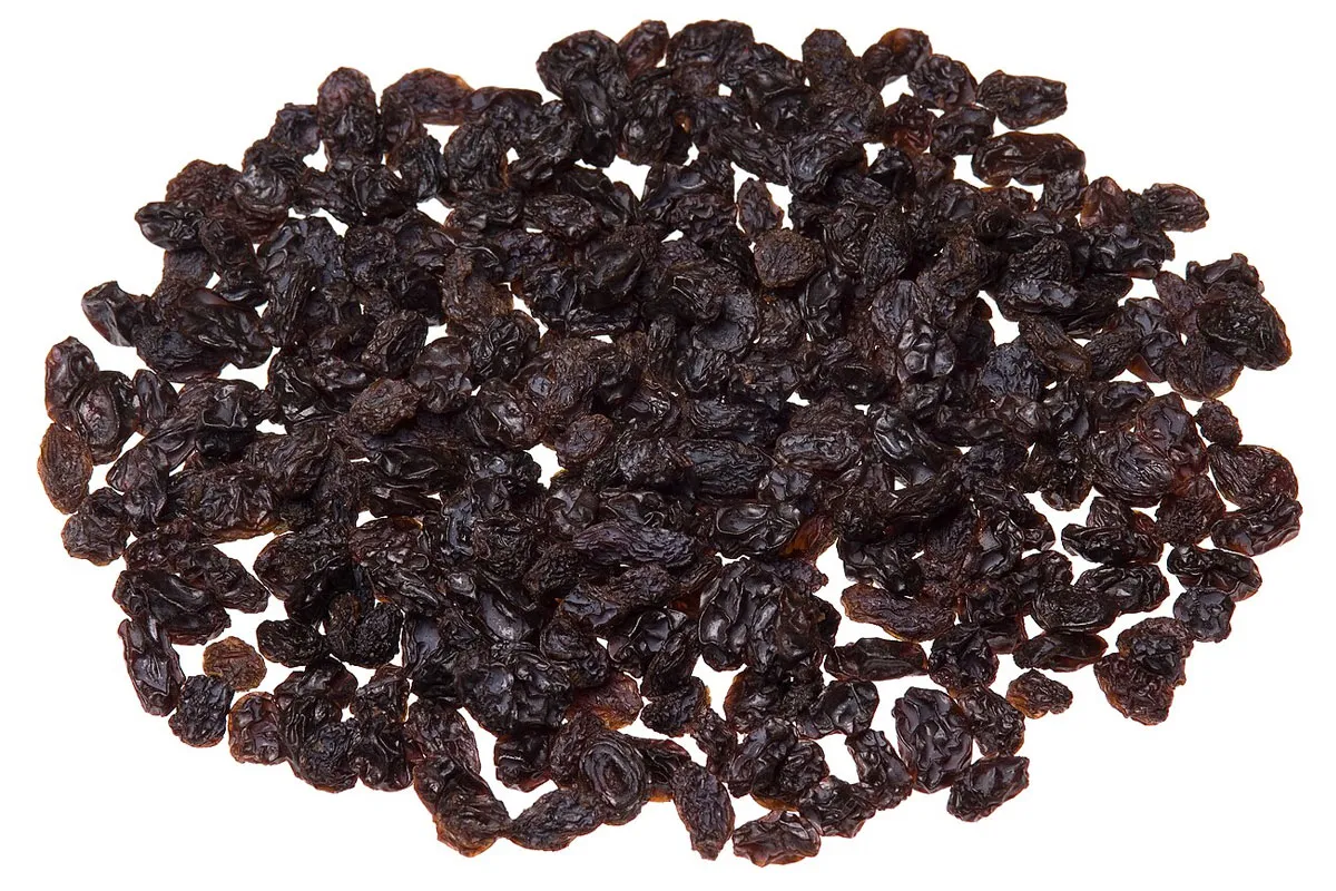 Pasas Flame Pasas Flame