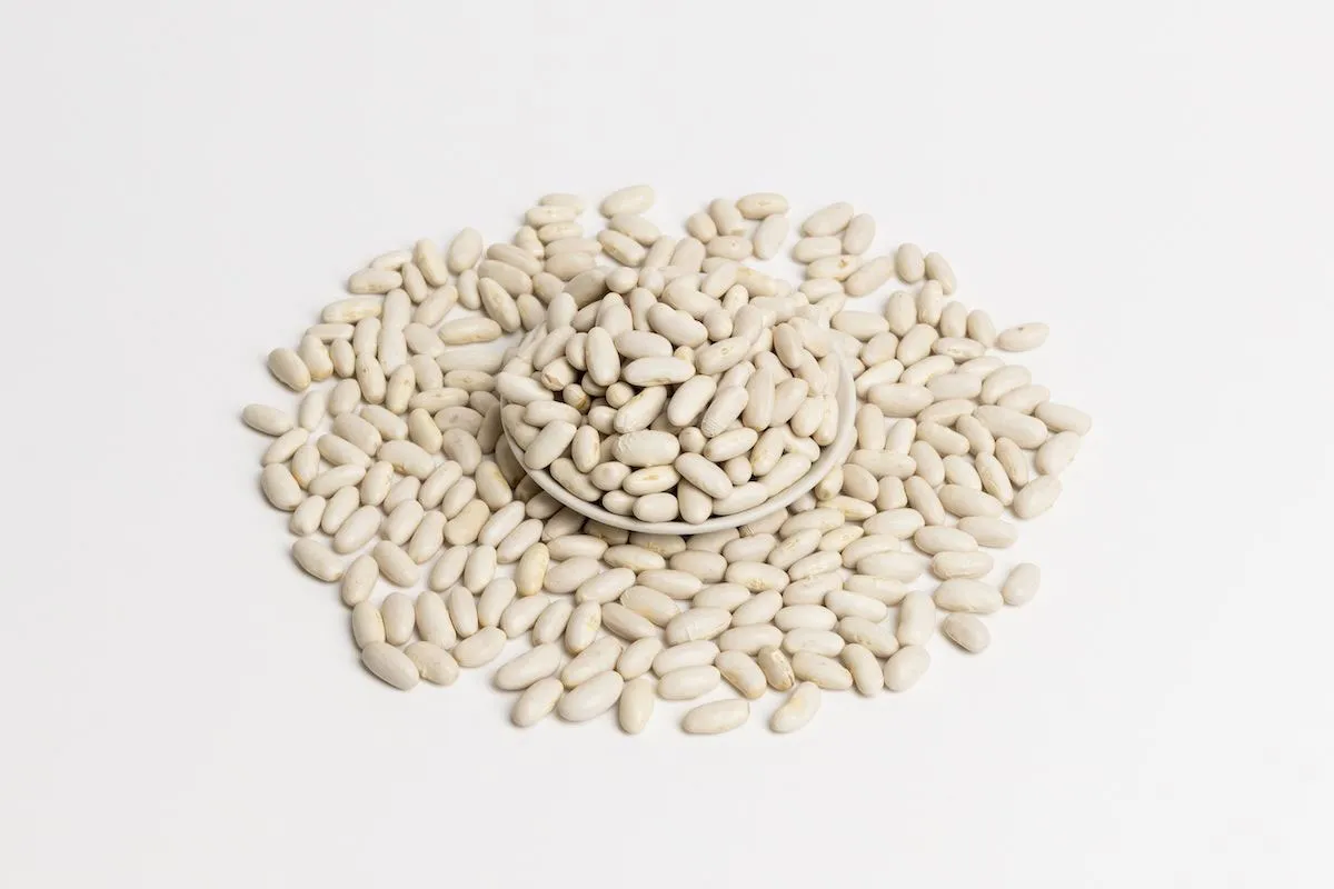 Poroto Blanco Alubia Poroto Blanco Alubia