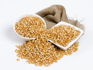 Maiz Curagua Chileno